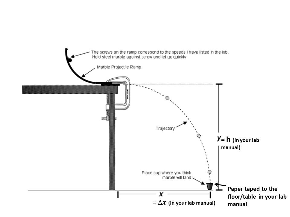 Marble Ramp Experiment | atelier-yuwa.ciao.jp