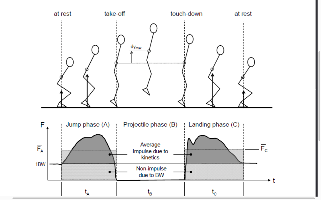 at rest take-off touch-down at rest dymax F Jump | Chegg.com