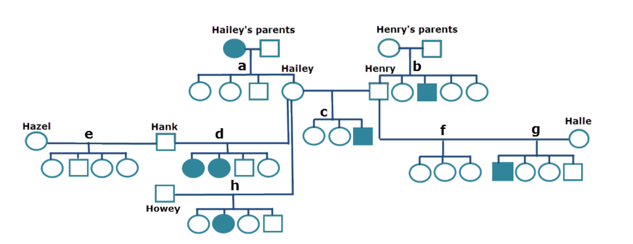Purebred Genetics Example Solved Purebred dogs are susceptible to many genetic | Chegg.com