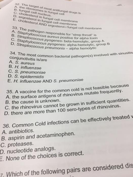 Solved The target of most antifungal drugs is A. the