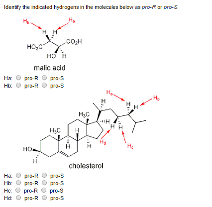 Identify the indicated hydrogens in the molecules | Chegg.com