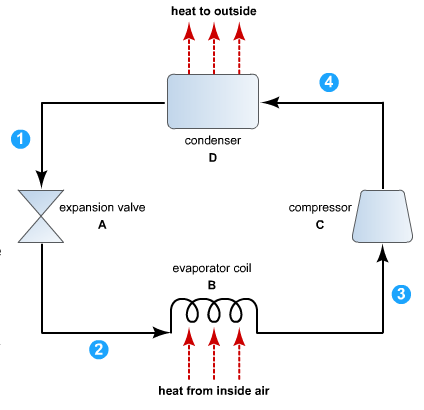 Solved: The Diagram To Right Is A Simplified Version Of Ho... | Chegg.com