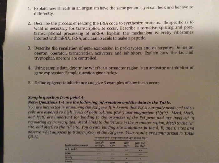 Solved Explain How All Cells In An Organism Have The Same Chegg