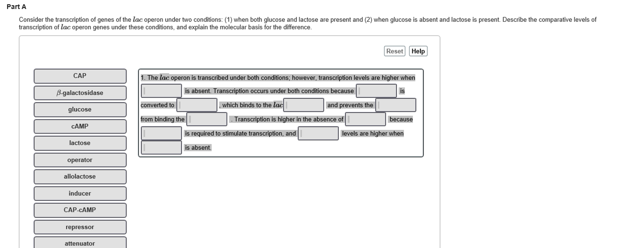 Solved Consider the transcription of genes of the lac operon | Chegg.com