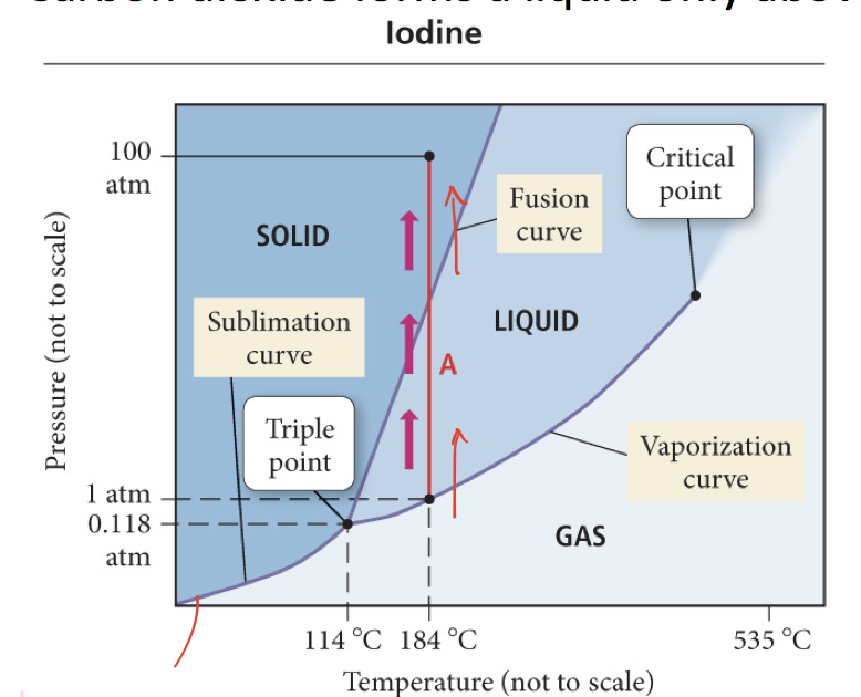 Solved here at 1atm, 184 C' (point on curve) its | Chegg.com