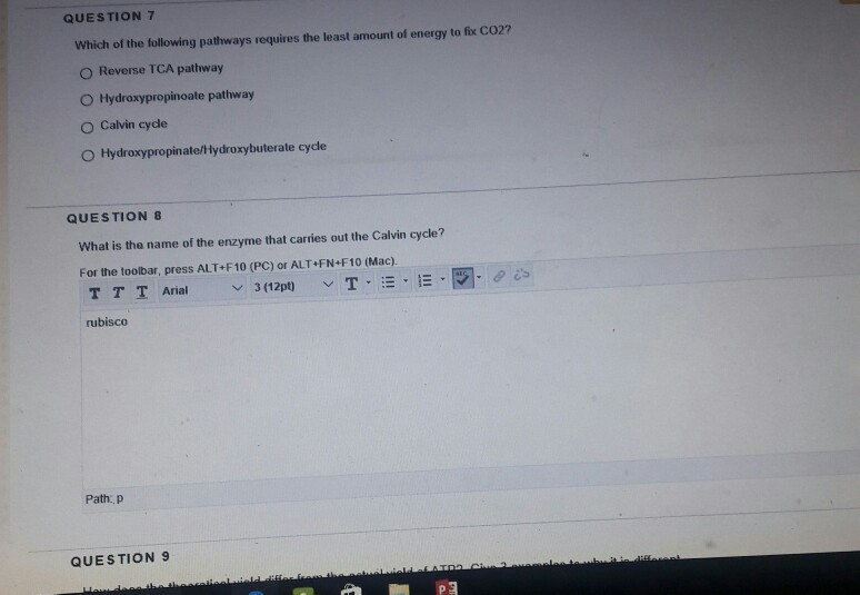 stoichiometry-chemistry-quiz