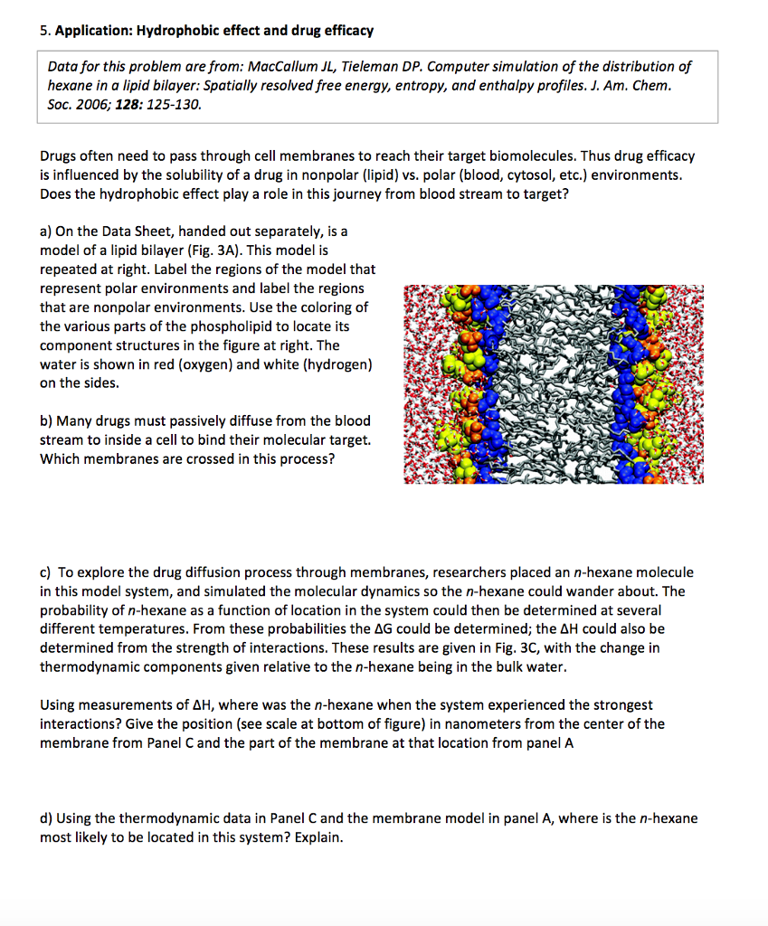 hydrophobic effect entropy