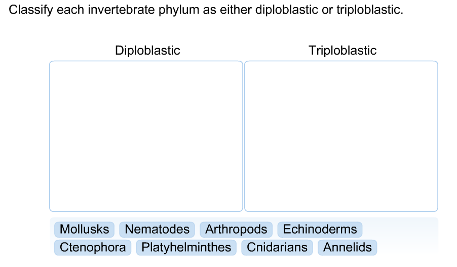 Solved Classify each invertebrate phylum as either
