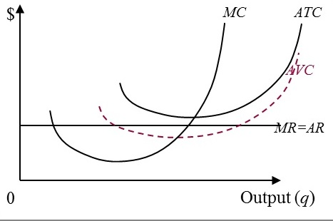 Solved Based on the graph below answer the following | Chegg.com