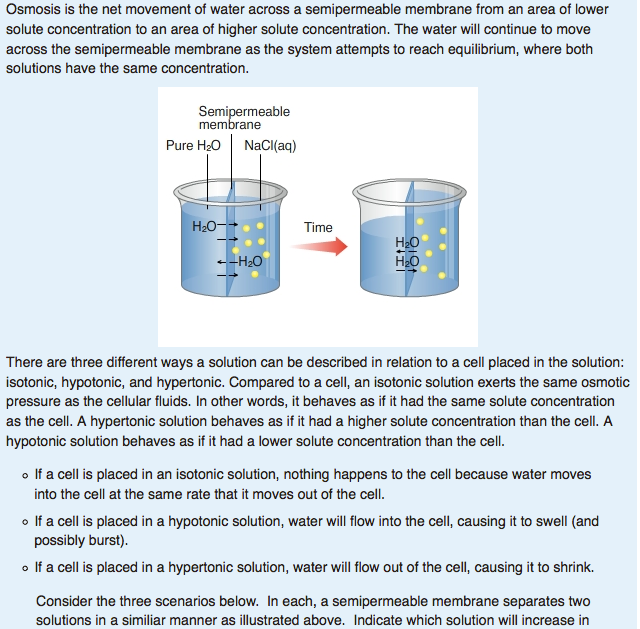 solved-osmosis-is-the-net-movement-of-water-across-a-chegg