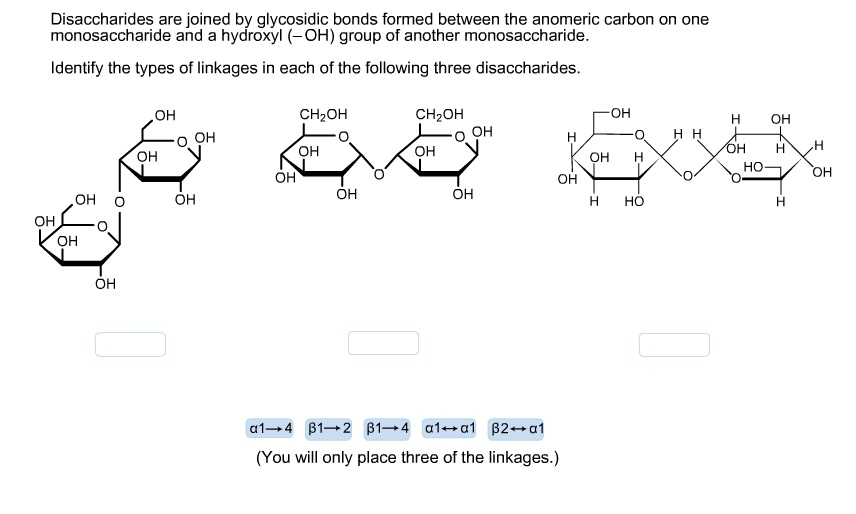Solved Disaccharides are joined by glycosidic bonds formed