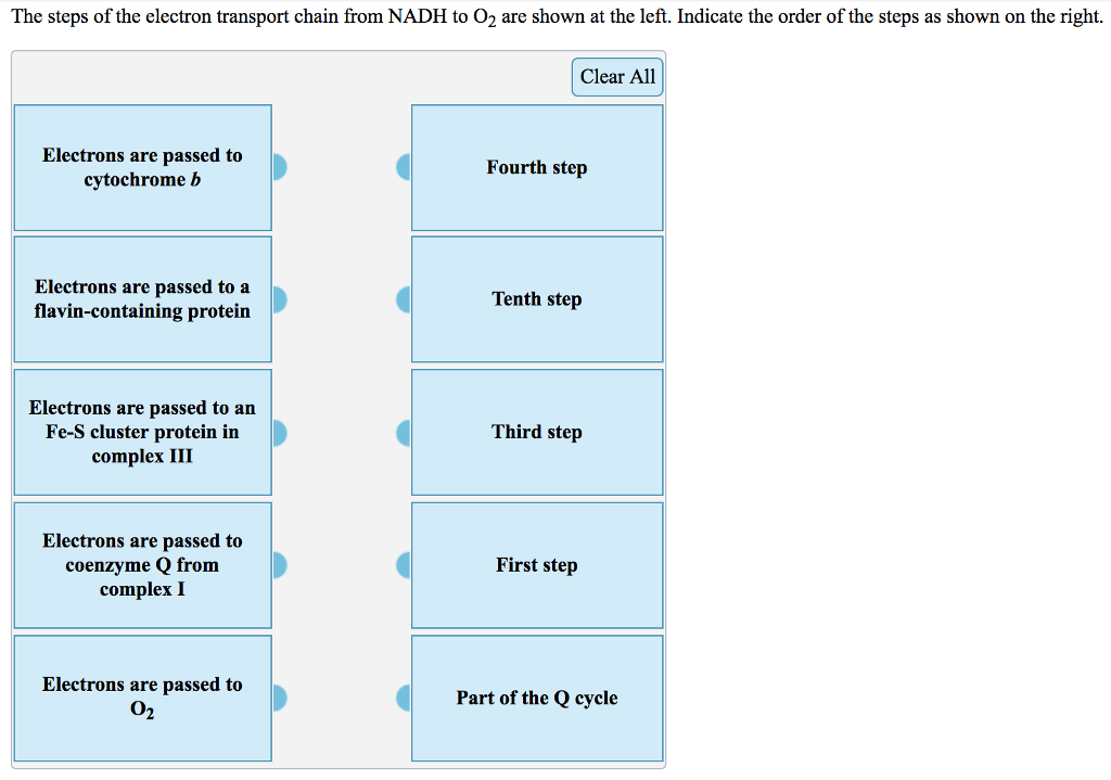 Solved The steps of the electron transport chain from NADH | Chegg.com