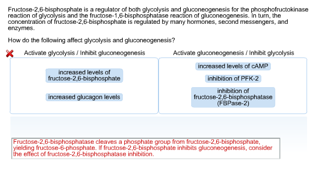Fructose 2 6 bisphosphate