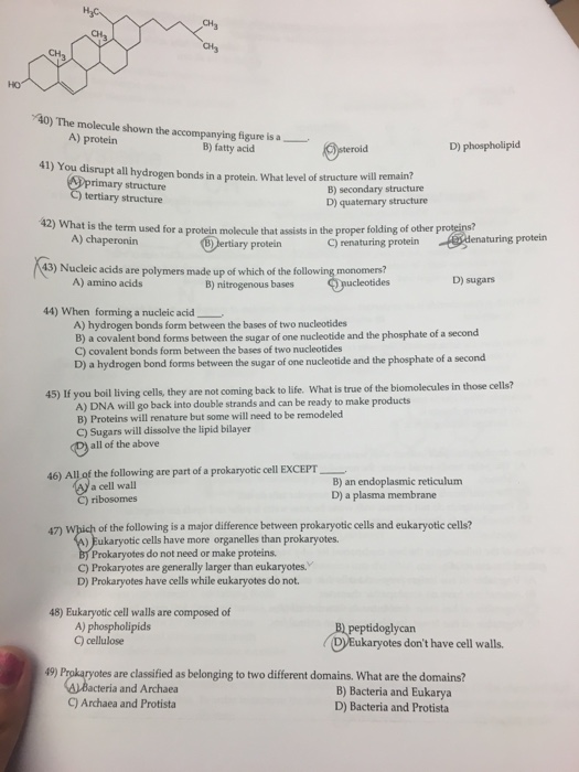 Solved The molecule shown the figure is a