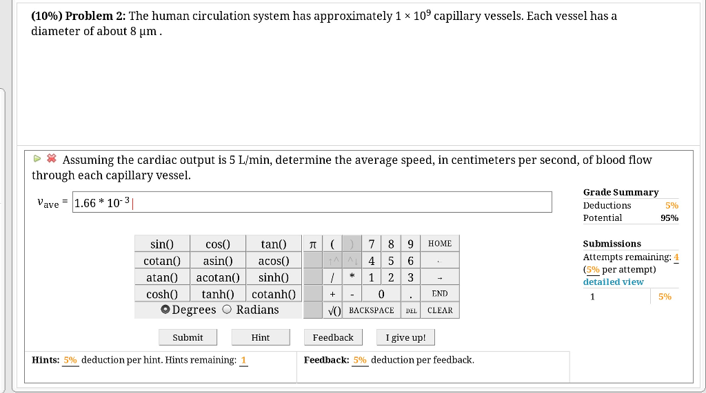 average-speed-of-a-human-seowwrvseo