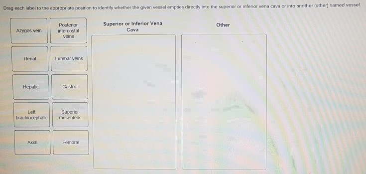 Solved: Drag Each Label To The Appropriate Position To Ide... | Chegg.com