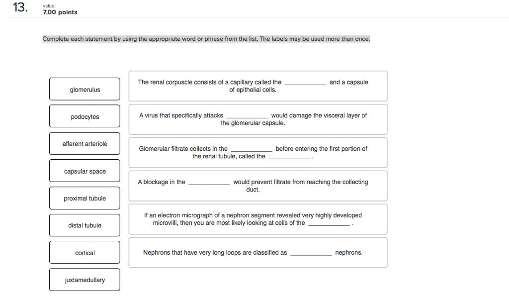 Solved Complete each statement by using the appropriate word | Chegg.com