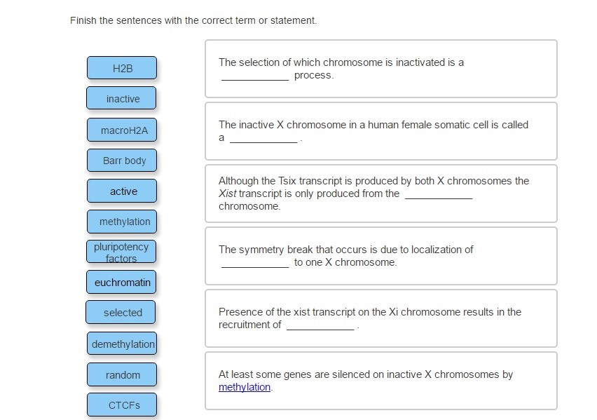 Solved Finish the sentences with the correct term or | Chegg.com