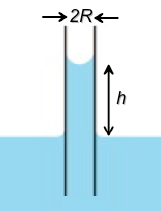 Solved When a thin tube is put into water, the water will | Chegg.com