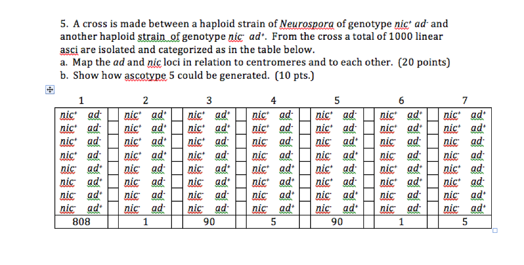 Solved A Cross Is Made Between A Haploid Strain Of | Chegg.com