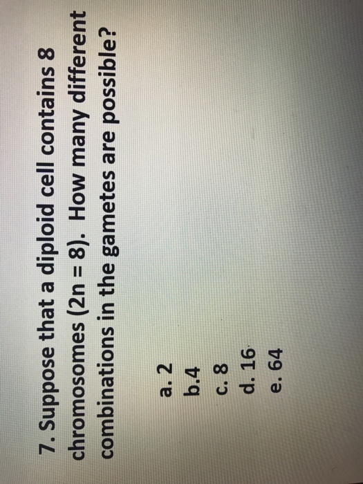 Solved Suppose that a diploid cell contains 8 chromosomes