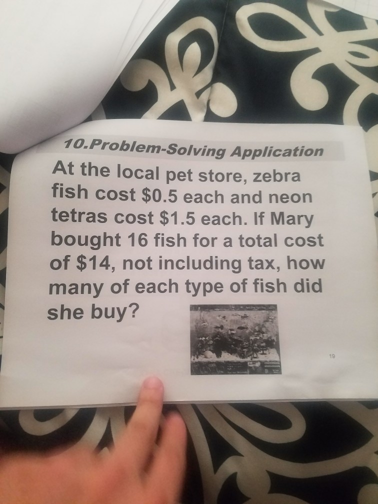 Solved 10.ProblemSolving Application At the local pet