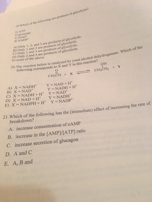 Solved Which of the following are products of glycolysis? | Chegg.com