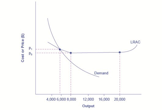 Solved Using Figure 9.2 (p. 207), suppose P0 is $10 and P1 | Chegg.com