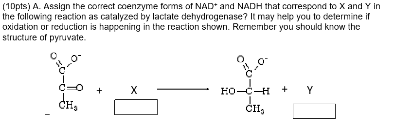 Solved (10pts) A. Assign the correct coenzyme forms of NAD* | Chegg.com