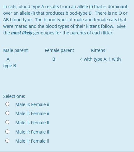 ab blood type cats