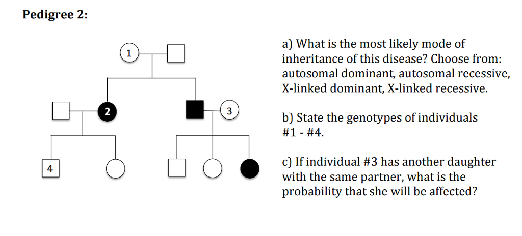 Solved In the following human pedigrees, the filled symbols | Chegg.com