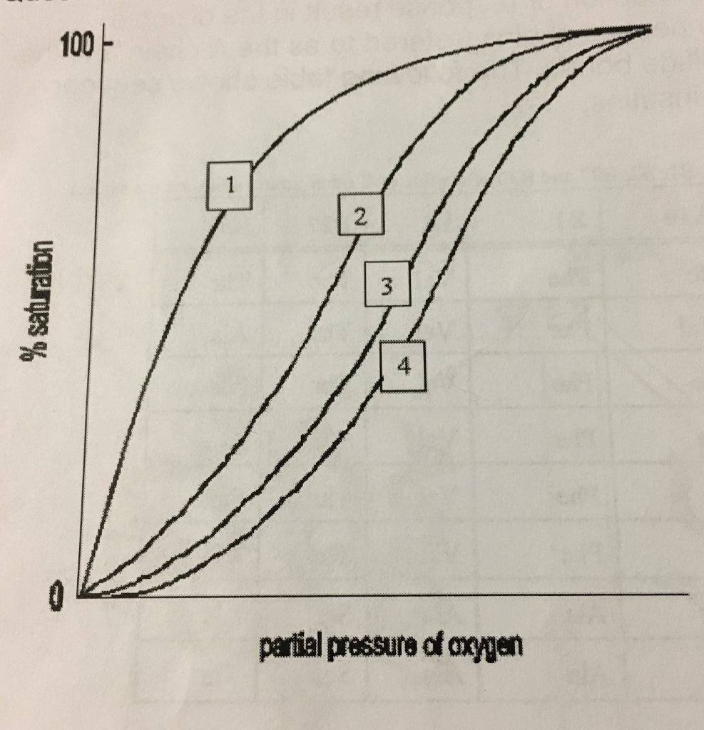 Solved If curve 3 represents the binding of oxygen to normal | Chegg.com