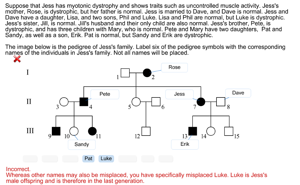 Solved Suppose That Jess Has Myotonic Dystrophy And Shows 