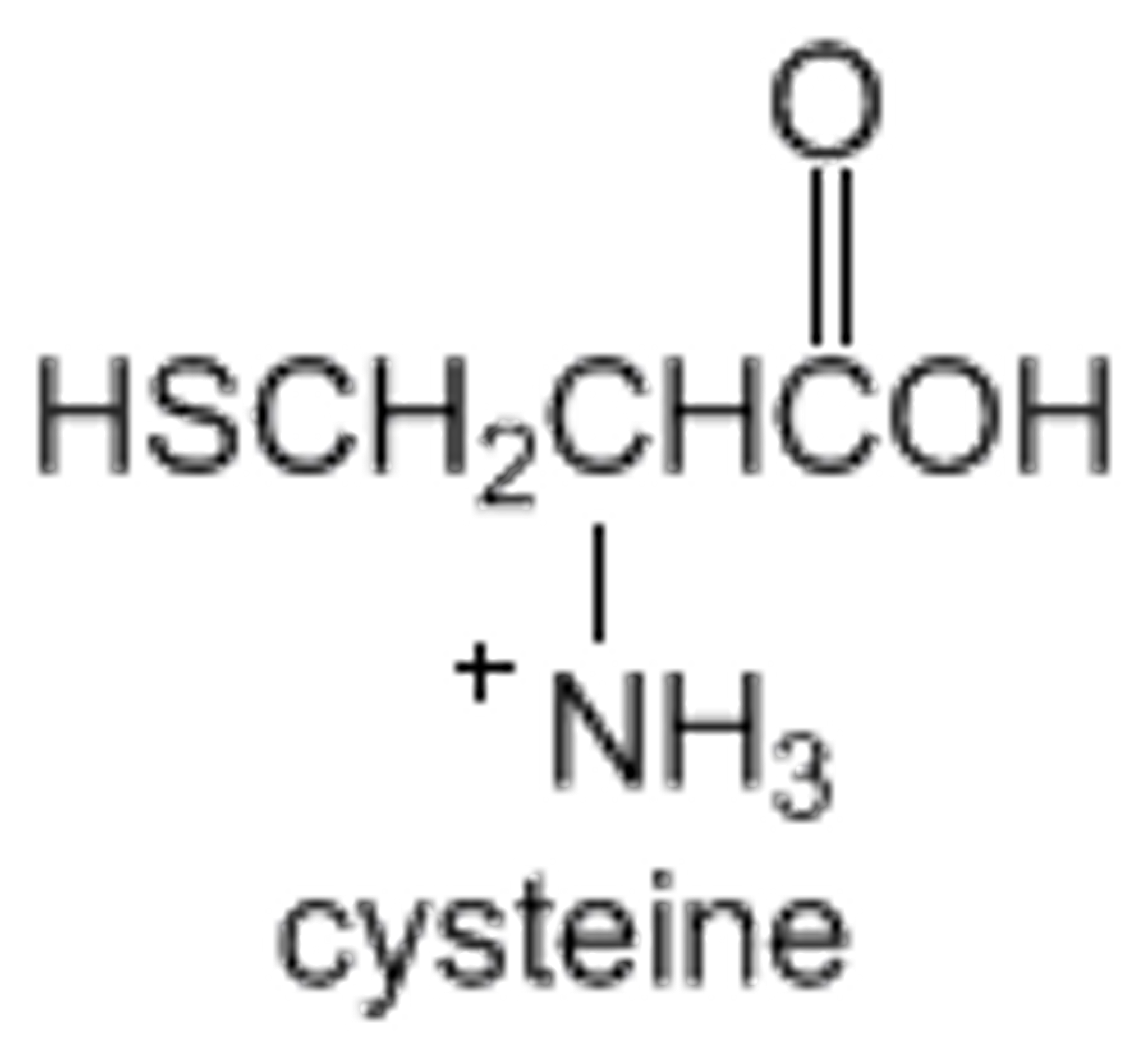 Solved Draw a structural formula for the major ionic form of | Chegg.com