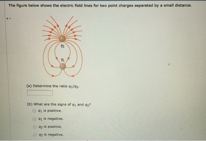 Solved The figure below shows the electric field lines for | Chegg.com