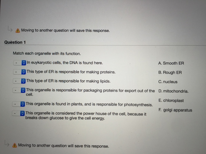 what to write in a conclusion for an essay