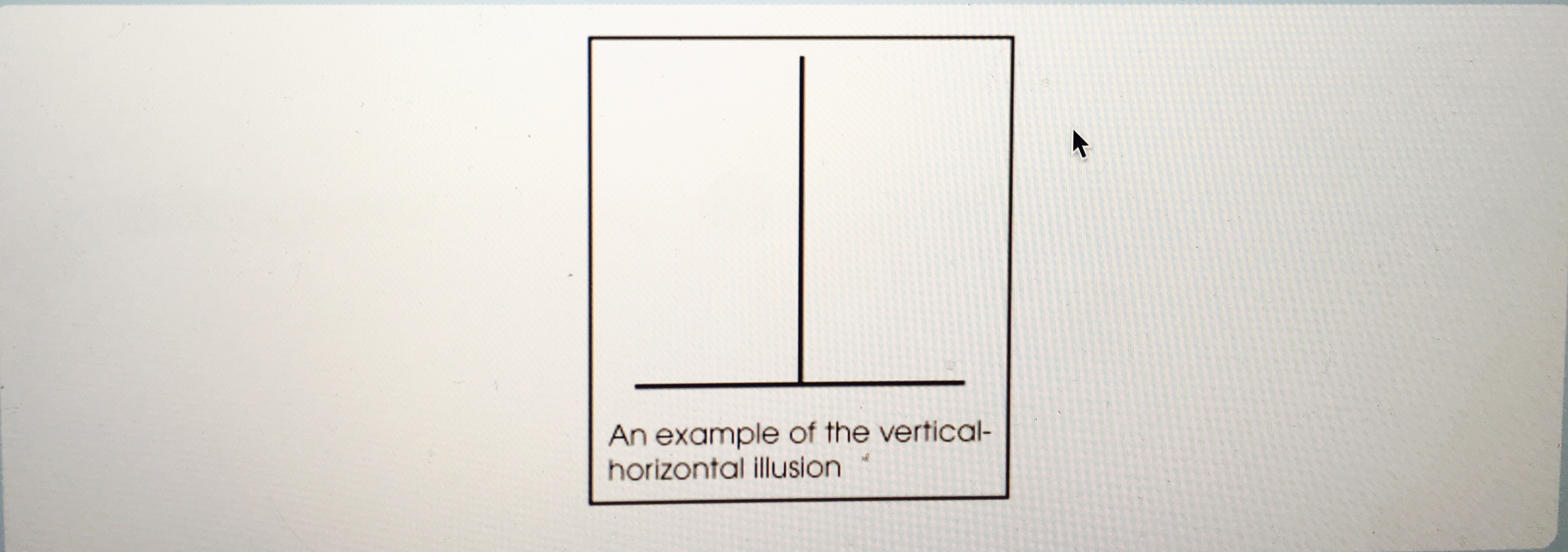 Solved An example of the vertical-horizontal illusion is | Chegg.com