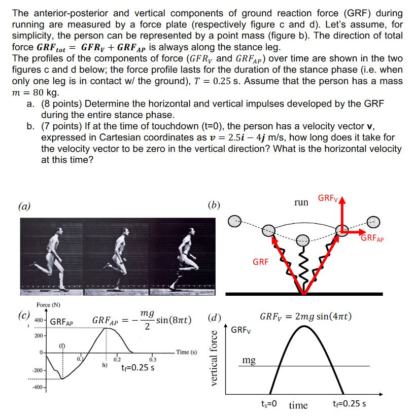 Solved The anterior-posterior and vertical components of | Chegg.com
