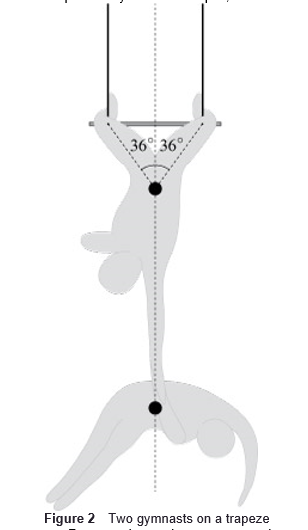 Trapezed Solved Figure 2 is a diagram representing two gymnasts on a | Chegg.com