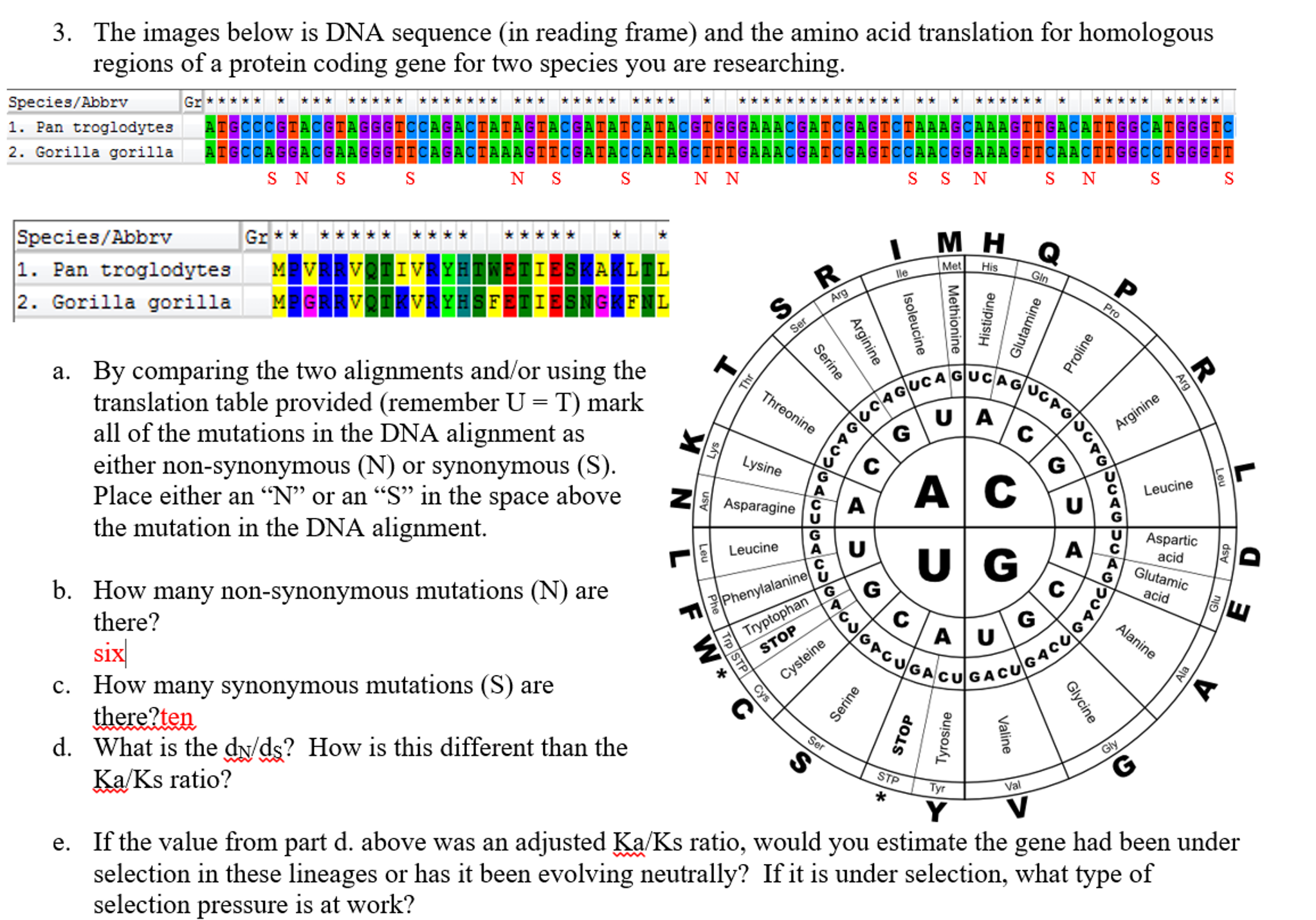 dna reading assignment