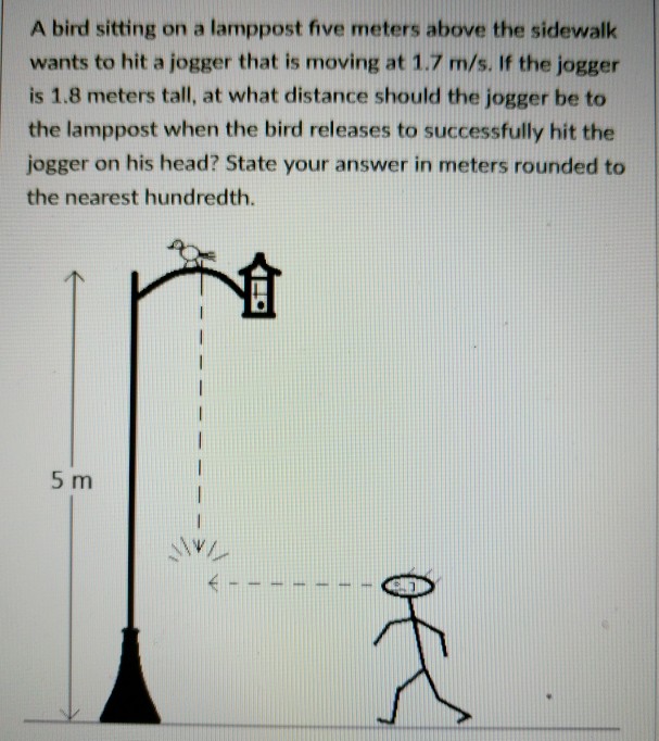 Solved A bird sitting on a lamppost five meters above the