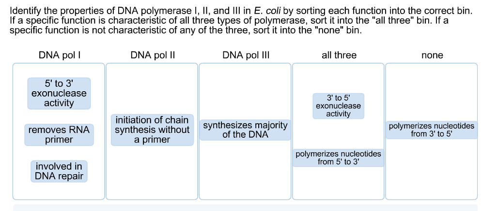 solved-identify-the-properties-of-dna-polymerase-i-ii-and-chegg