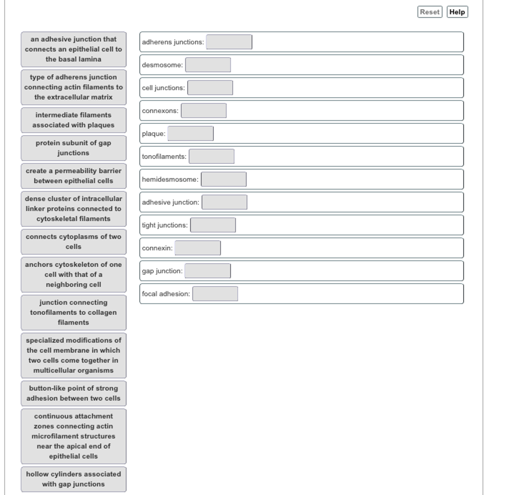 Solved Reset Help an adhesive junction that connects an | Chegg.com