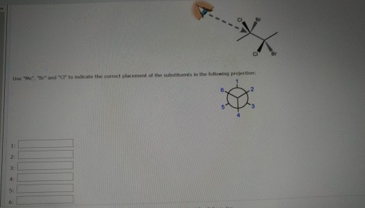 Solved Complete the Newman projection of the following | Chegg.com