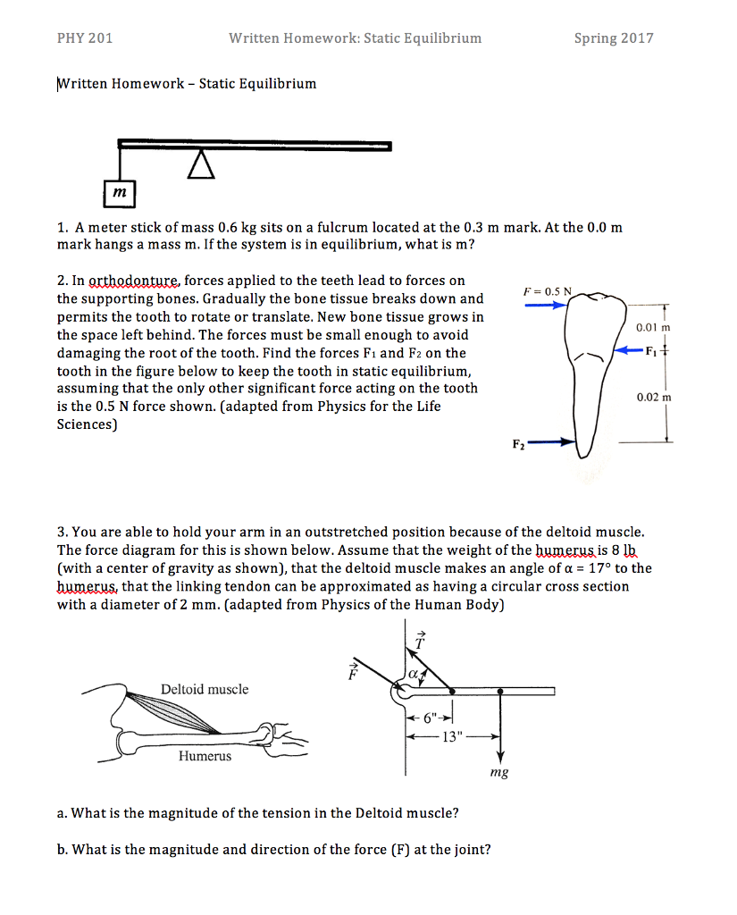 Solved Written Homework Static Equilibrium A meter stick