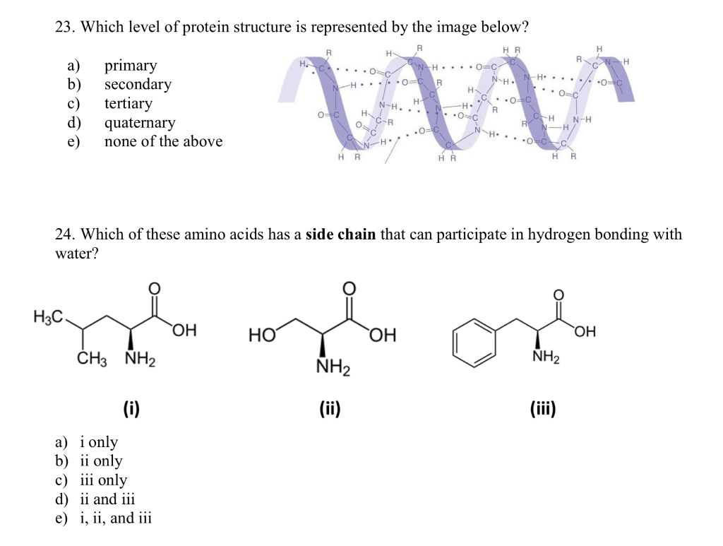 Solved 23. Which Level Of Protein Structure Is Represented | Chegg.com