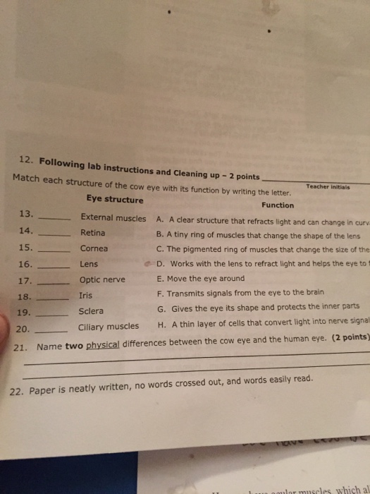 solved-name-date-penod-cow-s-eye-dissection-lab-page-2-7-chegg