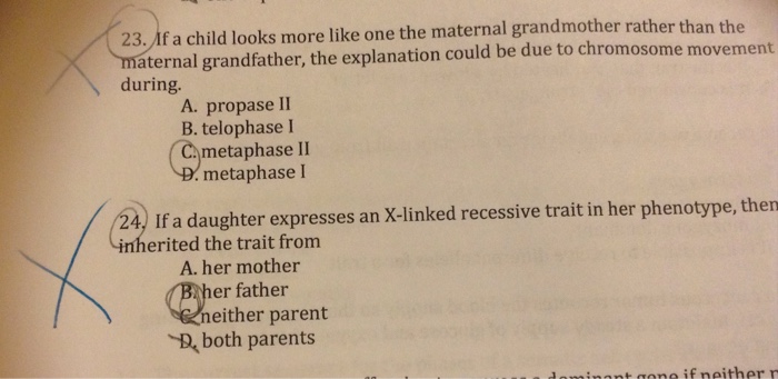 solved-if-a-child-looks-more-like-the-maternal-grandmother-chegg