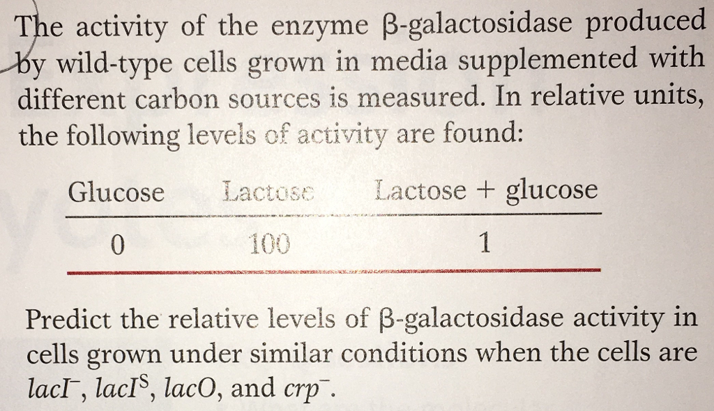 Solved The activity of the enzyme Bgalactosidase produced
