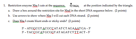 Solved 1. Restriction enzyme Xba l cuts at the ssuenss | Chegg.com